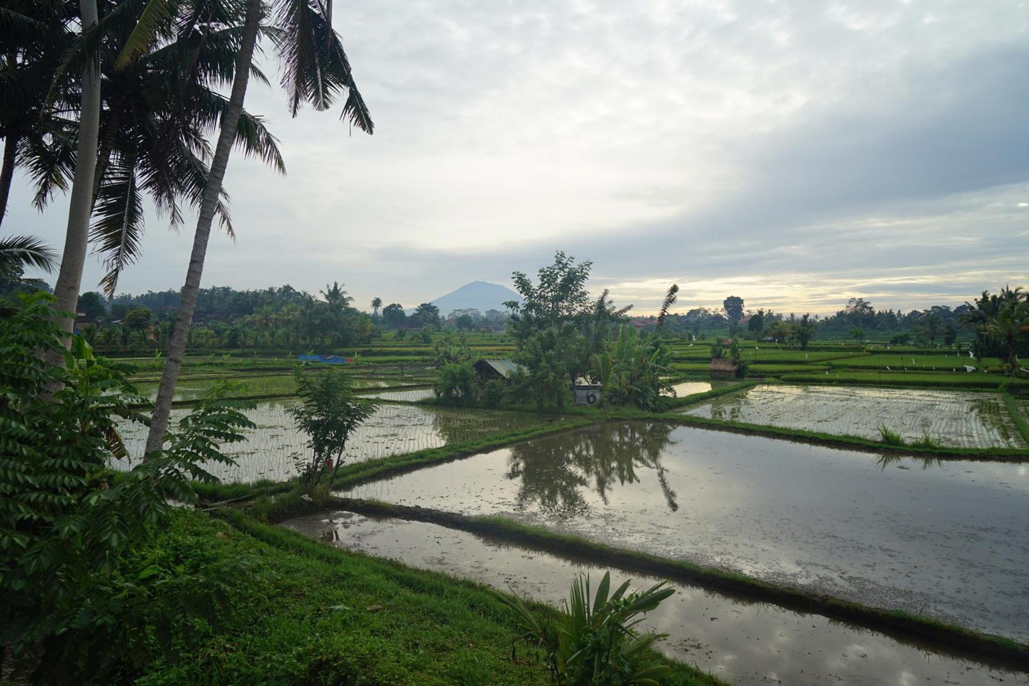 Santun Luxury Private Villas Ubud Zimmer foto